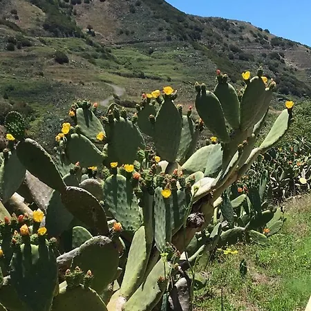 Royal Marina Golf-b Daire